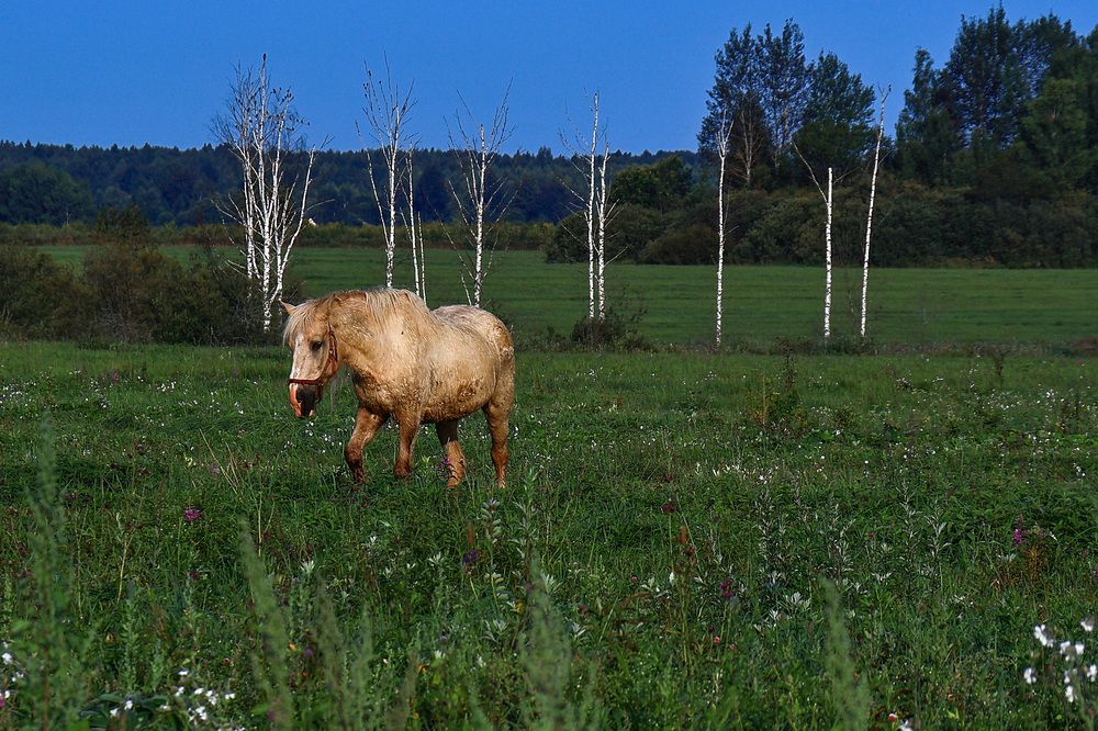 Photograph by Сергей Тельнюк