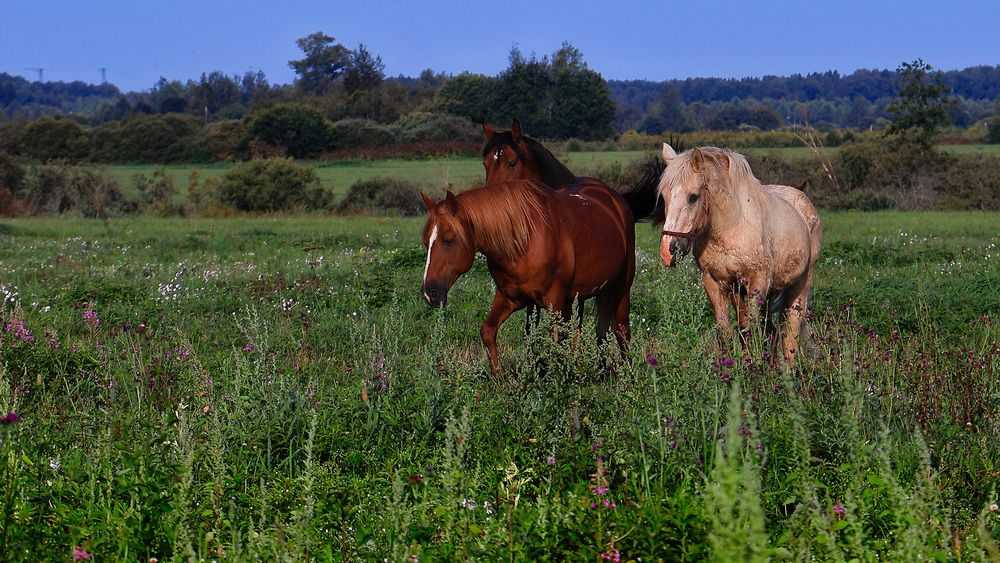 Photograph by Сергей Тельнюк