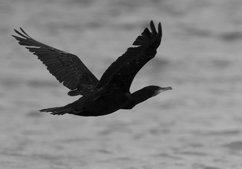 Фотография автора Viktoriya Kim