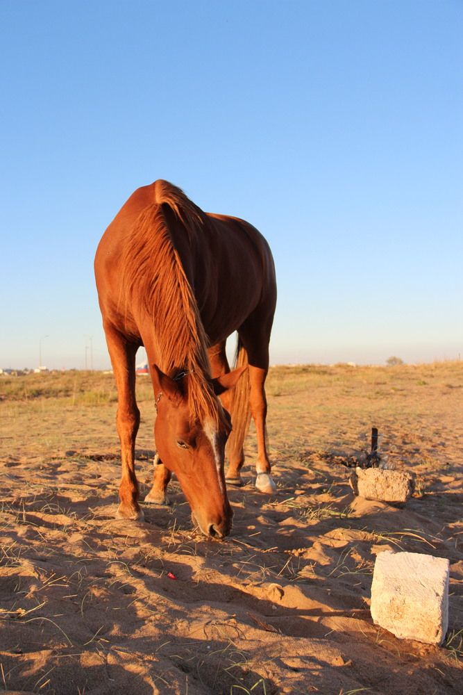 Photograph by Мария Митюкова