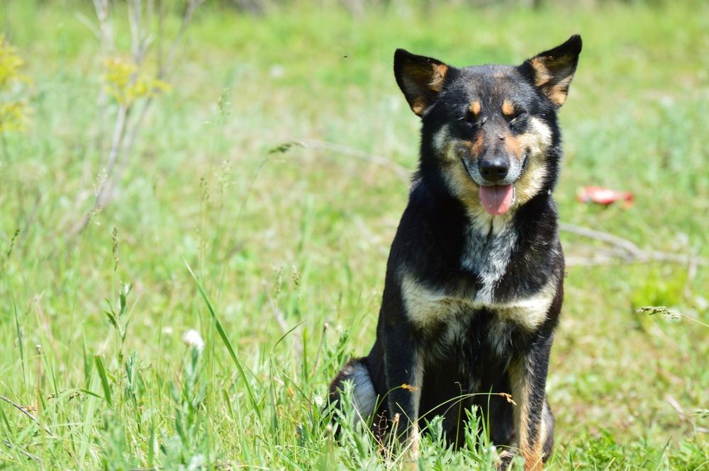 Photograph by Евгения Сапон
