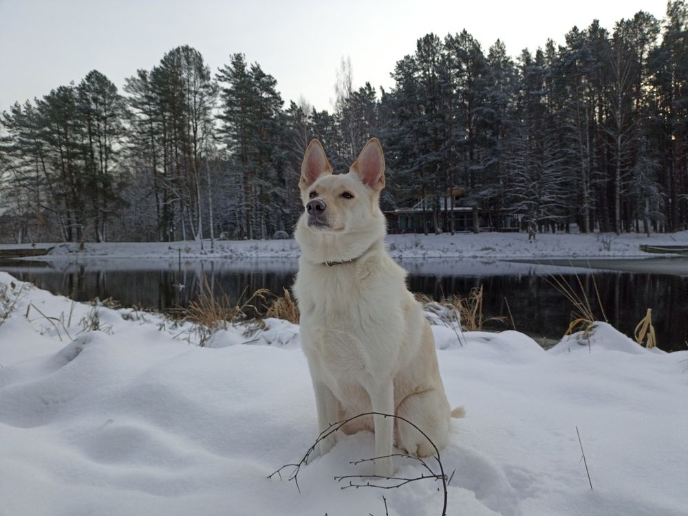 Photograph by Юлия