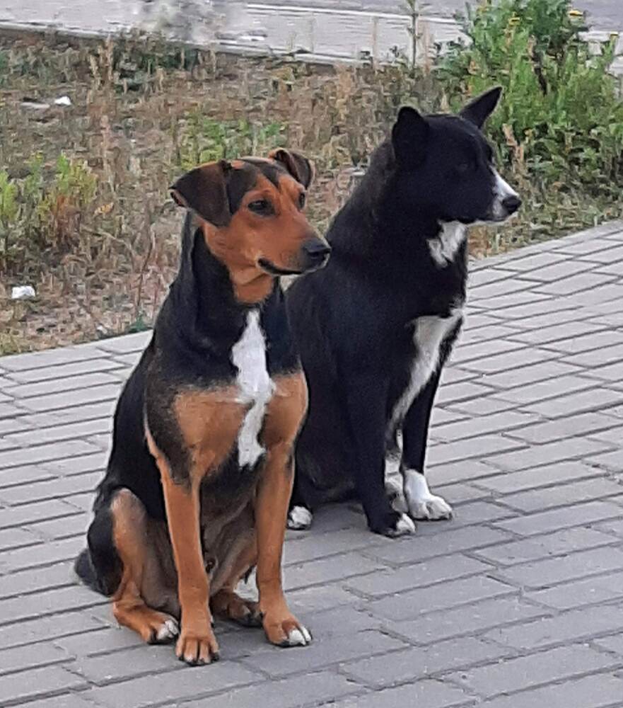 Фотография автора Анна Хмелькова