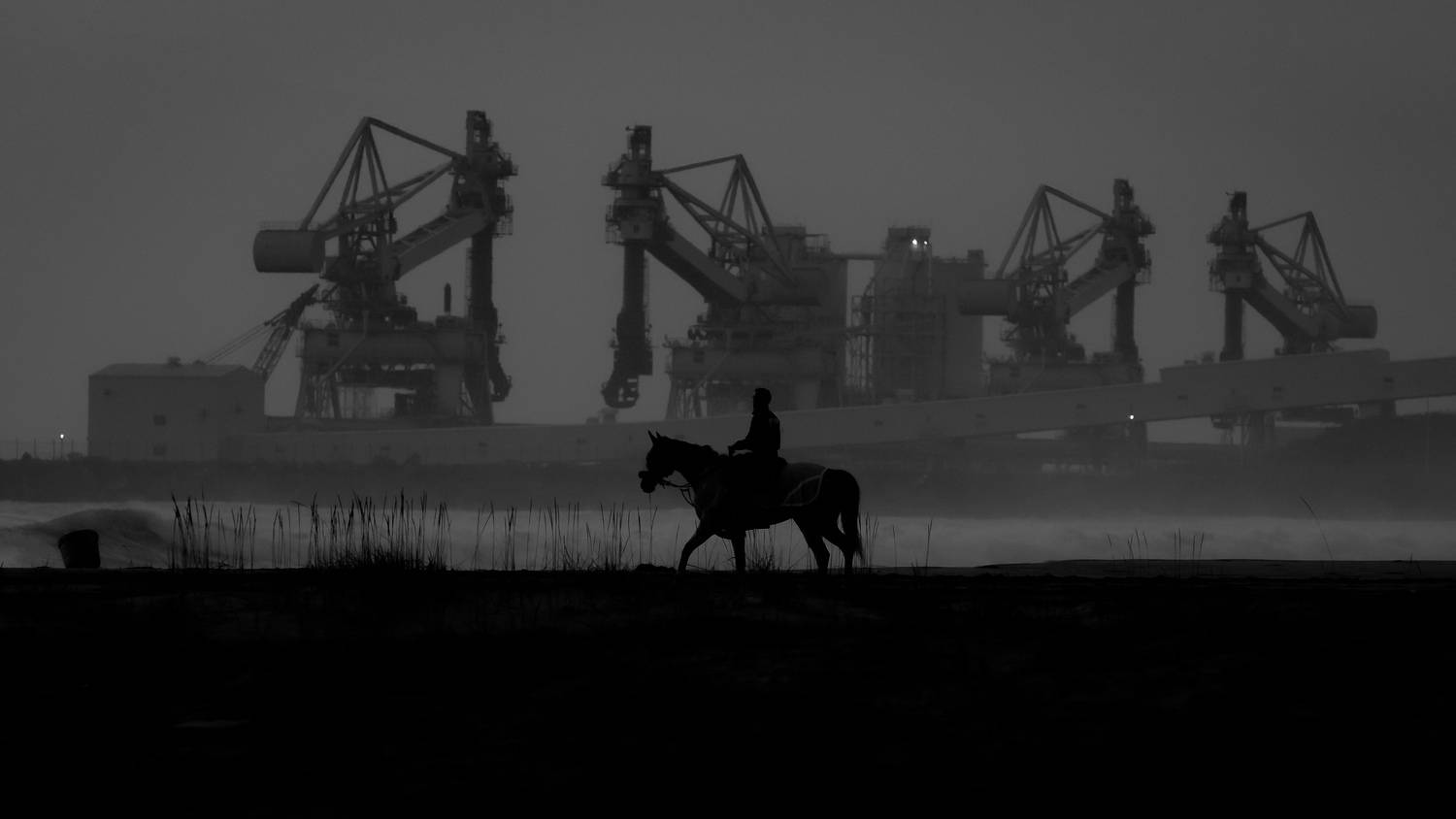 Фотография #12807656