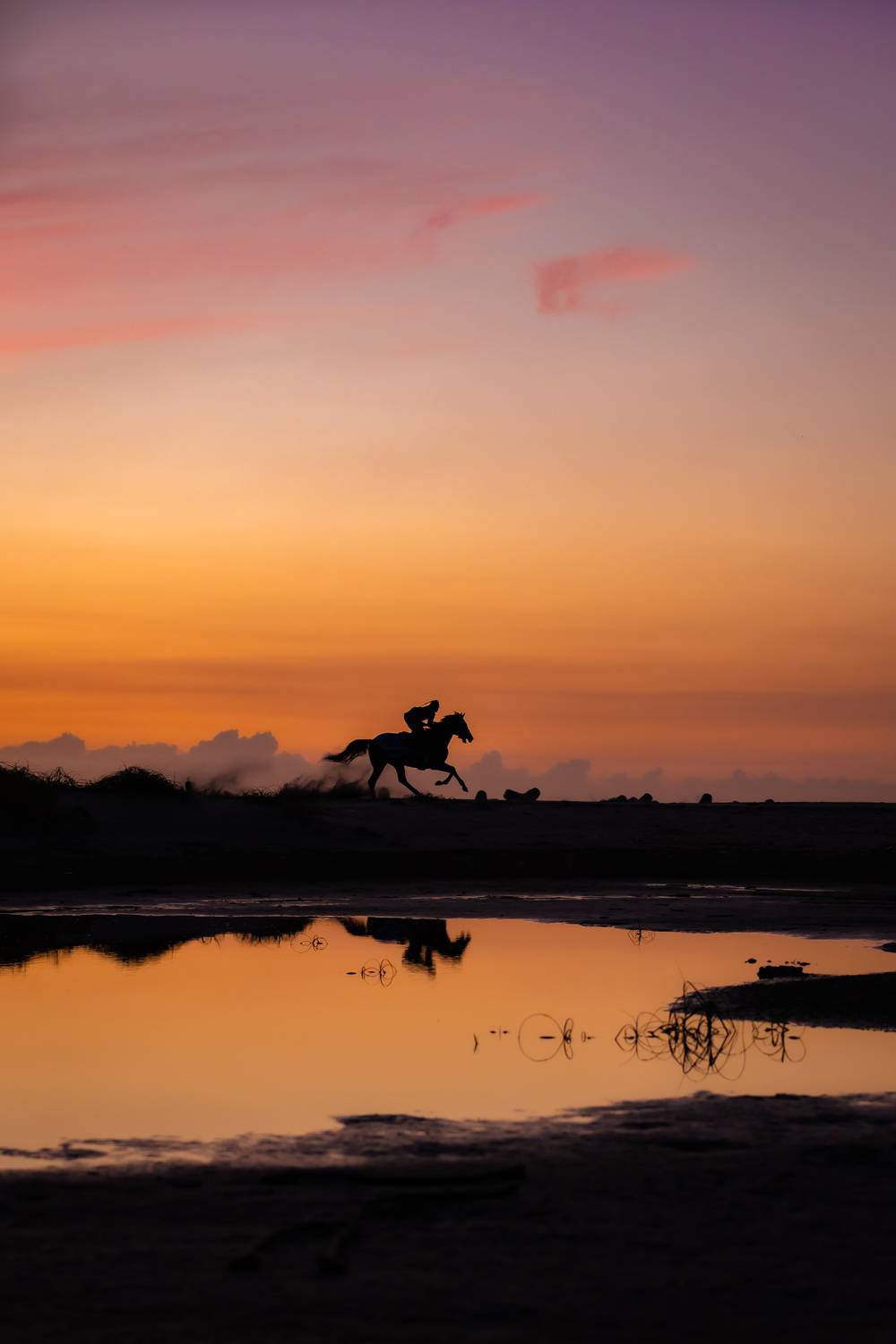 Фотография #12807665