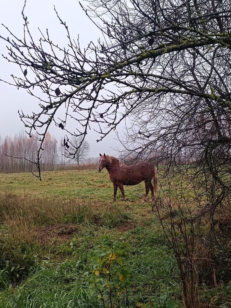 Photograph by Елена Пархоменко
