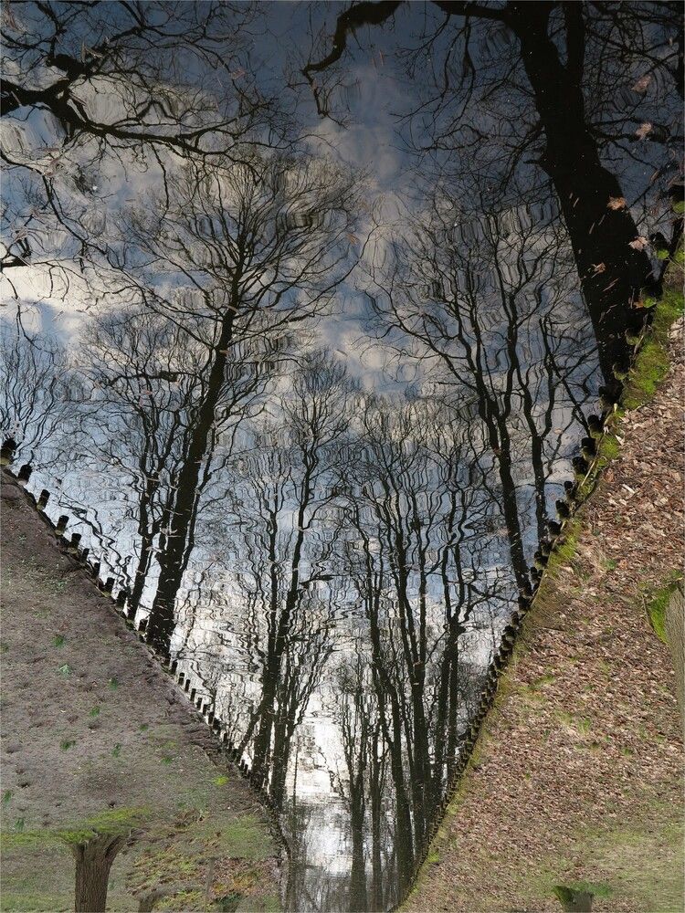 Небо марта / Marcowe niebo / March sky