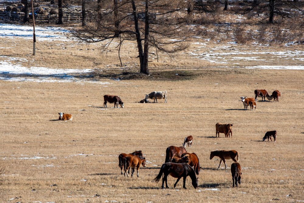 Photograph by Михаил Рогачев