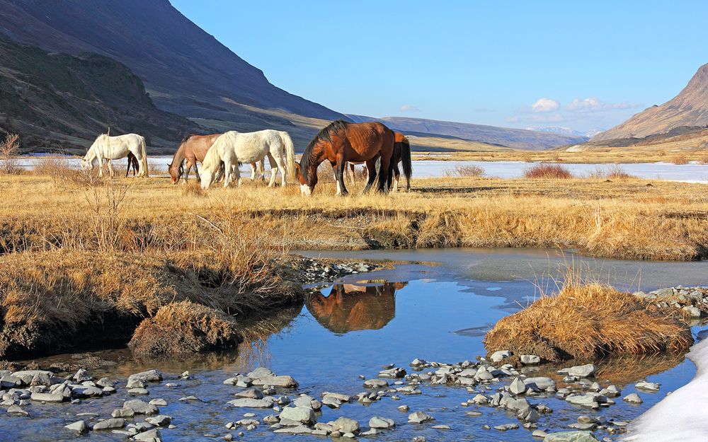 После долгой зимы...