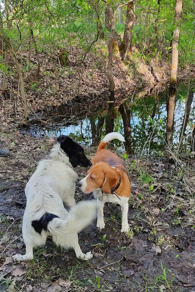 Фотография автора Наталья Елисеева