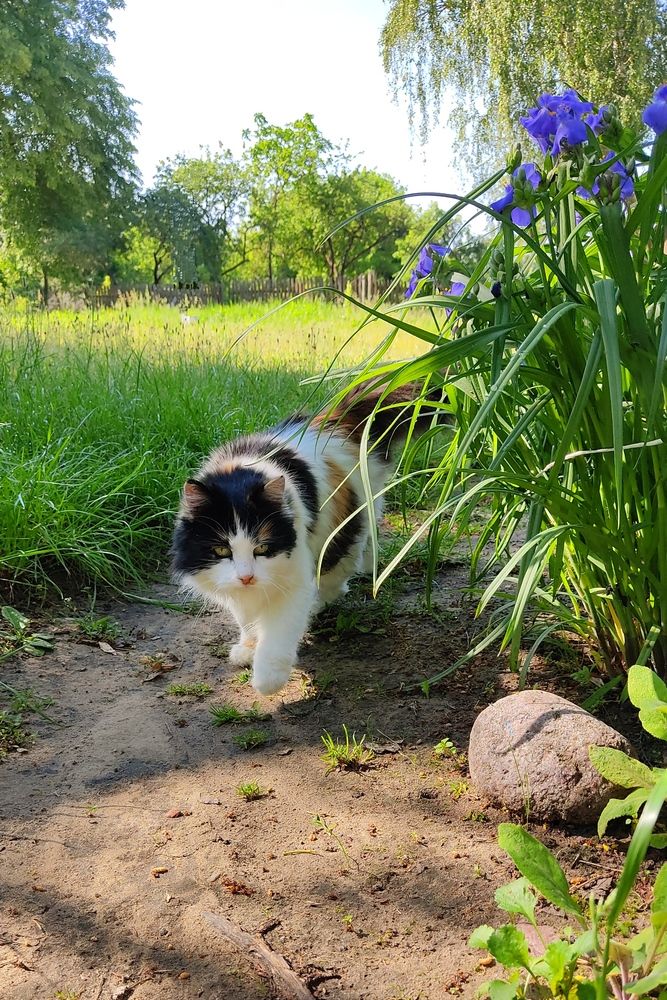 Фотография автора Наталья Елисеева