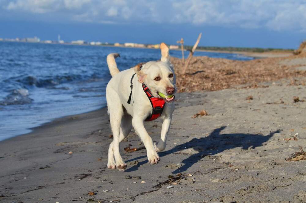 Фотография автора Наталья Елисеева