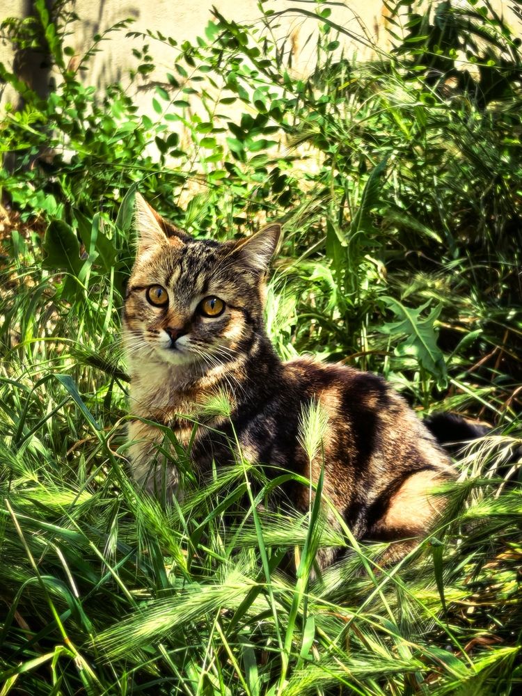 Photograph by Мария Жильцова