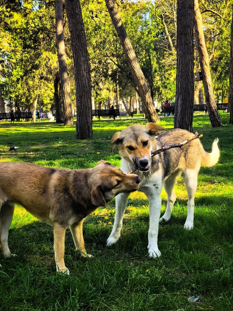 Photograph by Мария Жильцова