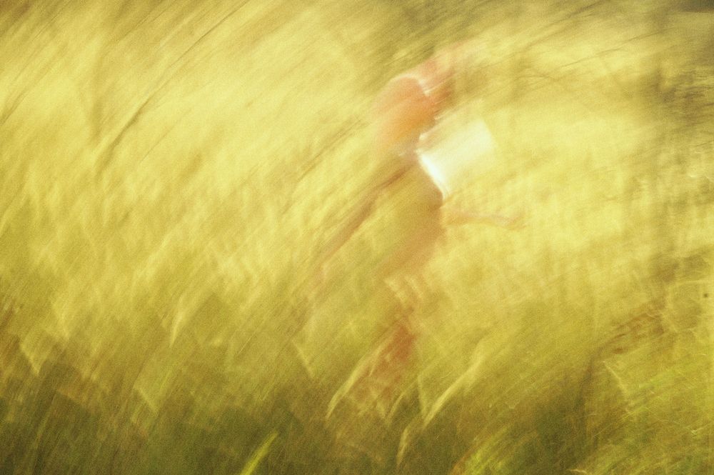 Photograph by Шамаев Валерий