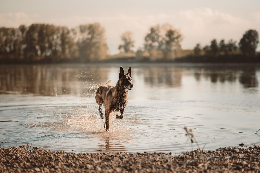 Photograph by Stefania Perrucci