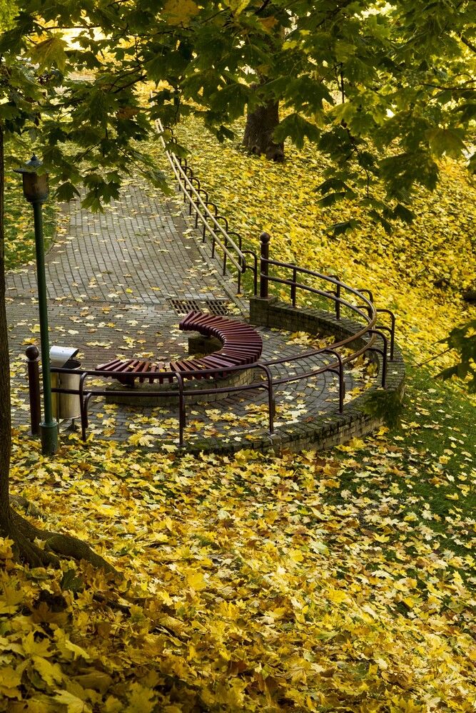 Фотография автора Нестеренко Светлана