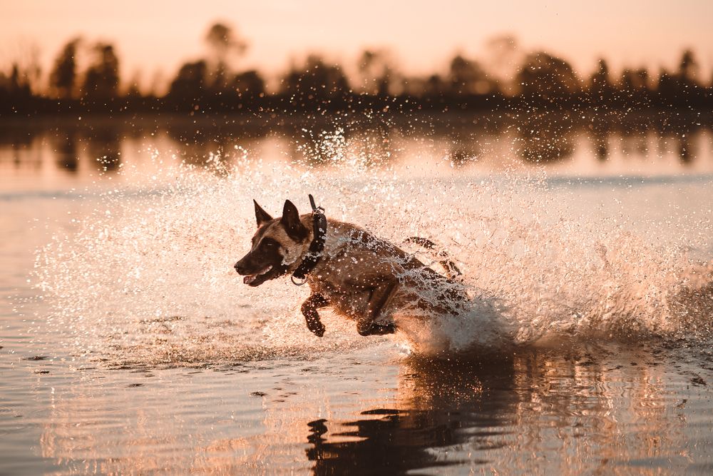 Photograph by Stefania Perrucci