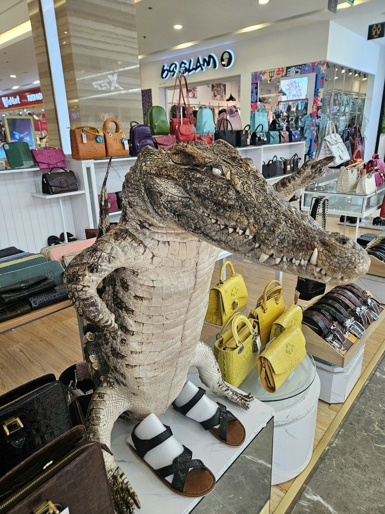 Фотография автора Tatiana Shirenko