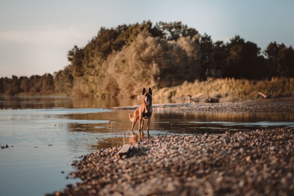 Photograph by Stefania Perrucci