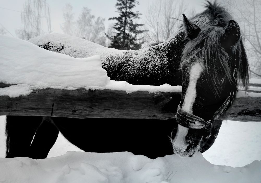 Photograph by Зоя Быкова