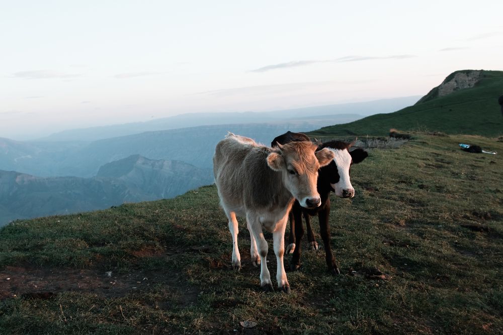 Photograph by Никита Павлов