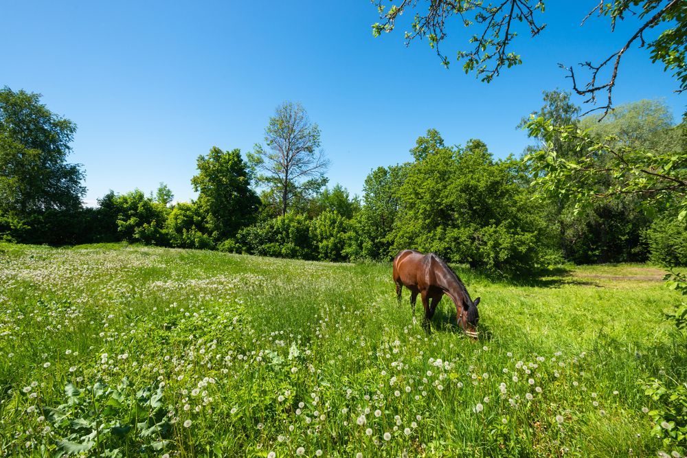 Photograph by Кочергин Егор