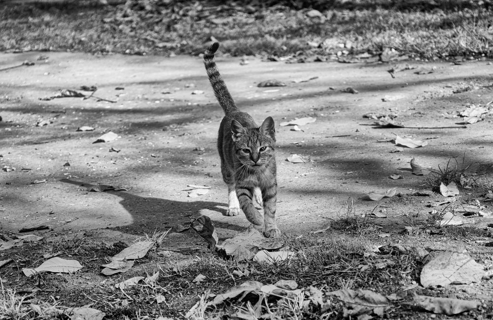 Photograph by Dragan Leles