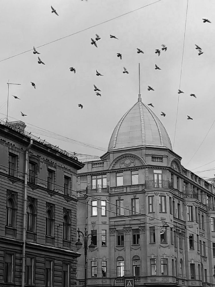 Петербургская мурмурация