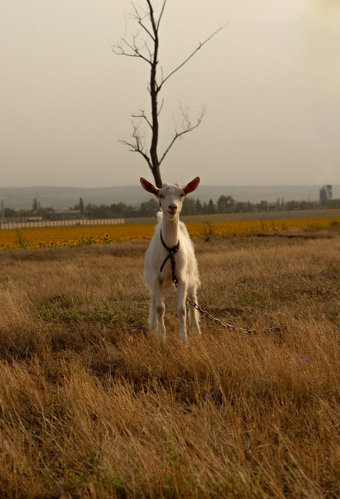 Photograph by Ирина Титаева