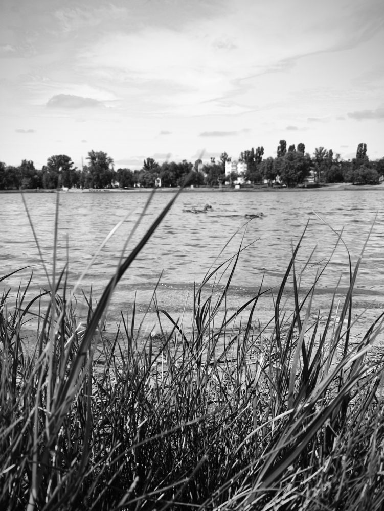 Photograph by Alena Galkina