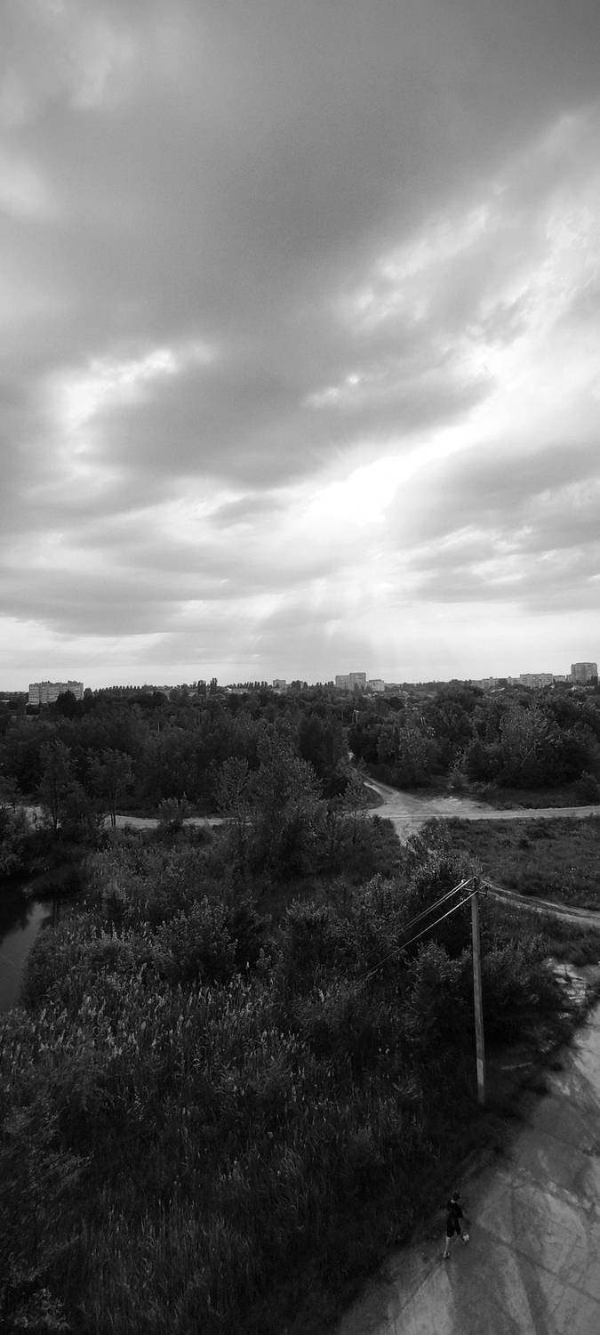 Photo #12808002
