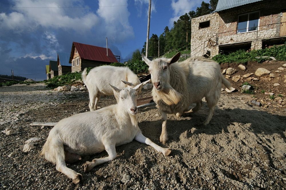 Фотография автора Александр Челмодеев