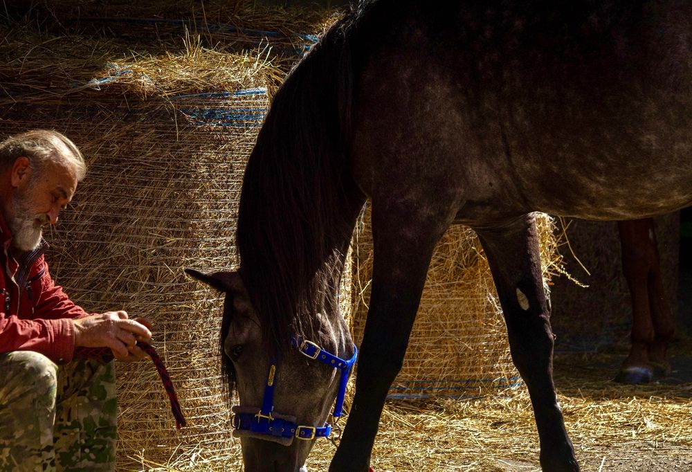 Amongу the stacks and hay