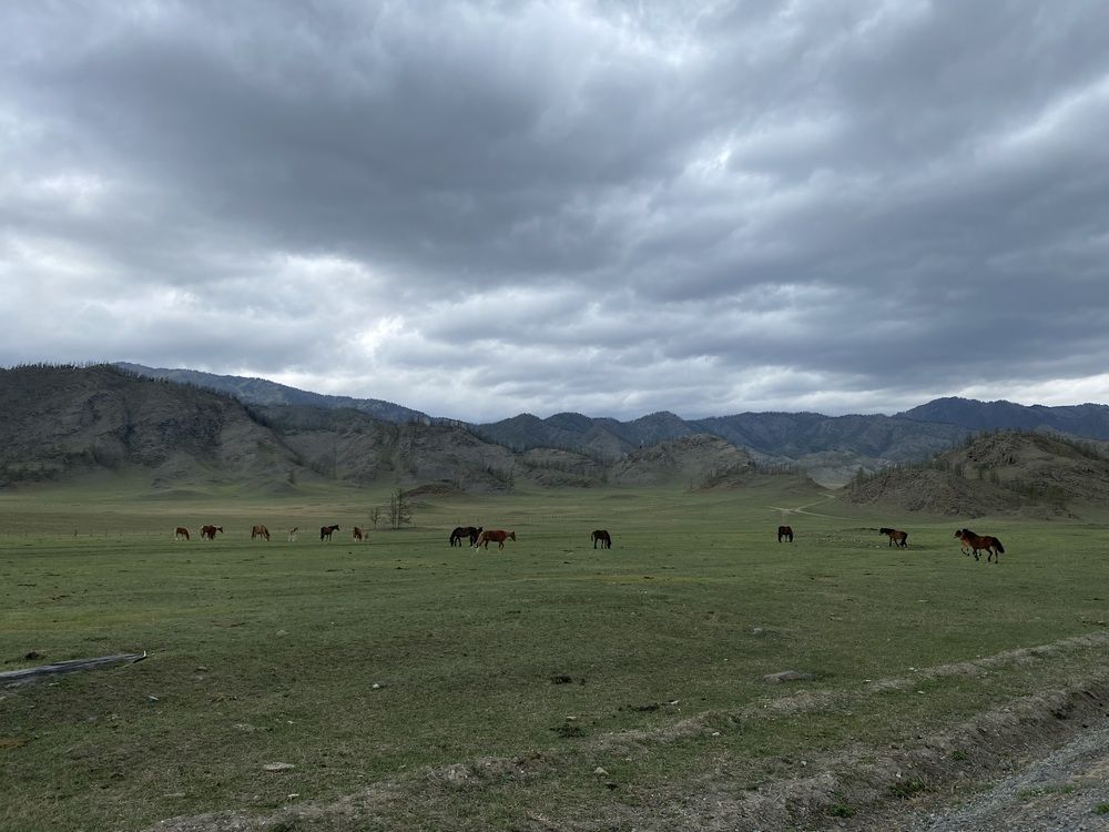 Каракольская долина