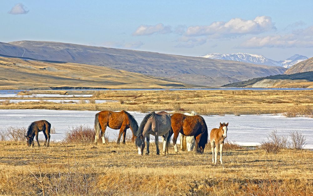Погожий денёк...