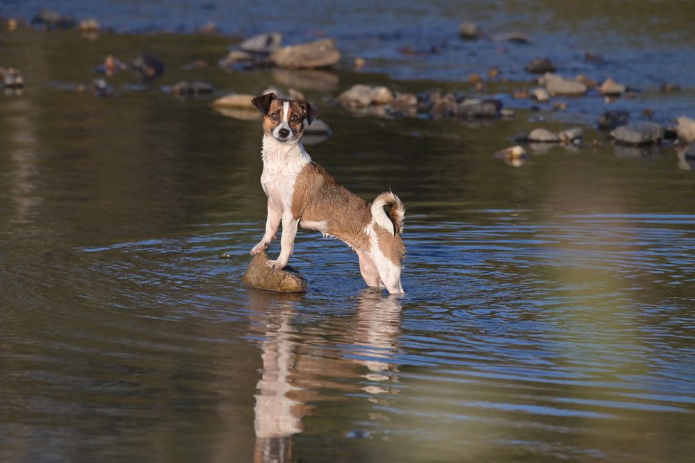 Photograph by Сергей Немцев