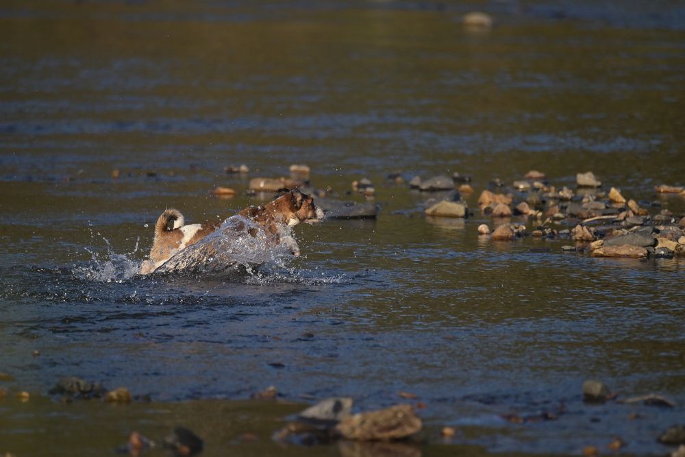 Photograph by Сергей Немцев