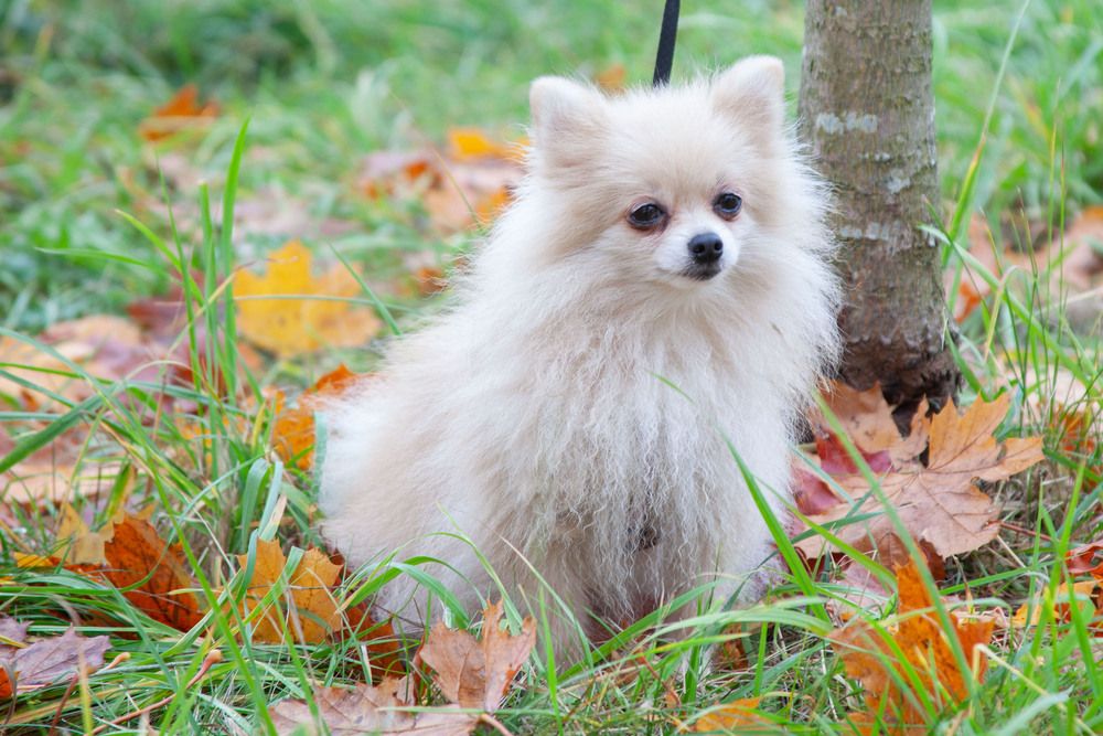 Photograph by Алексей Борисов