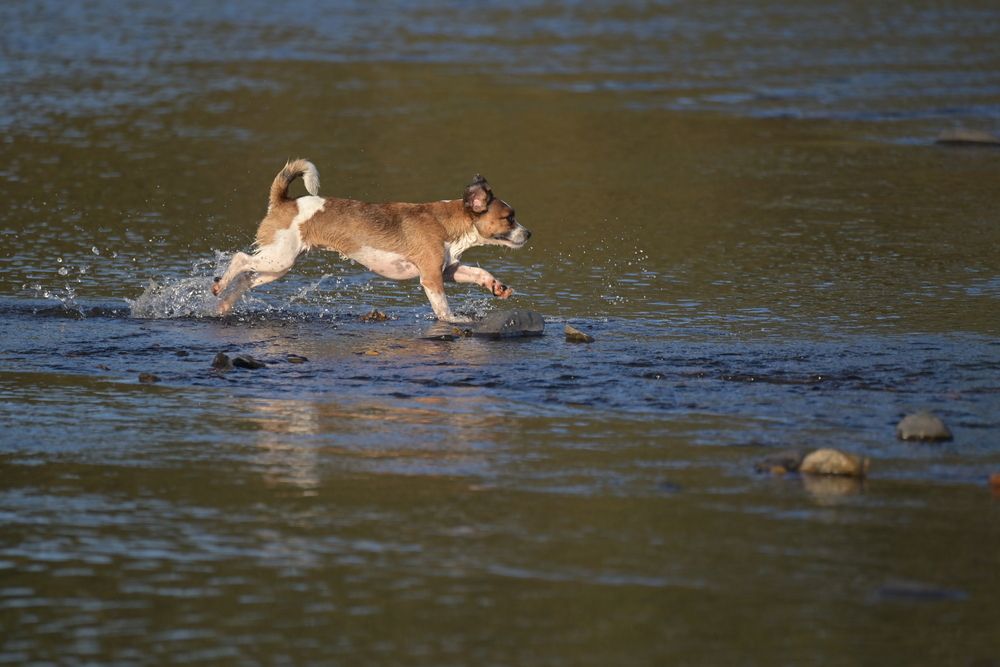Photograph by Сергей Немцев