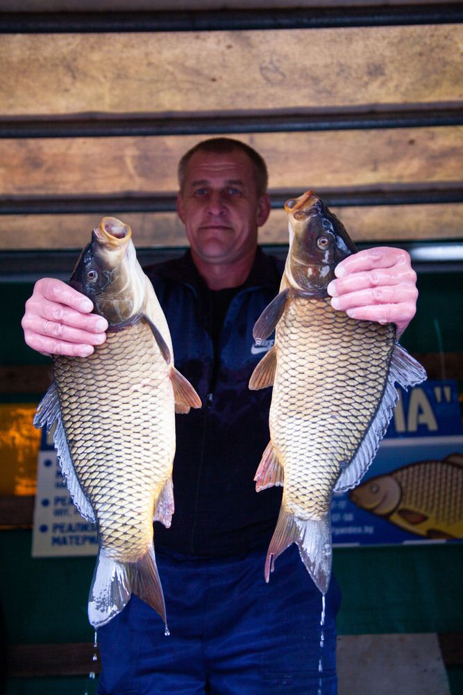 Photograph by Алексей Борисов