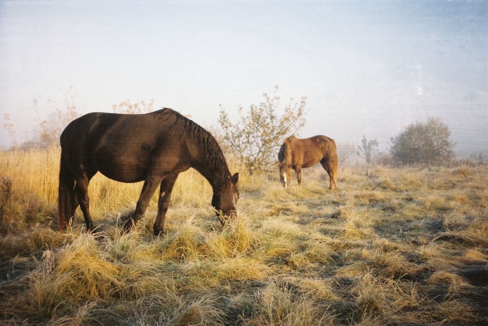 Photograph by Владимир Заборонок