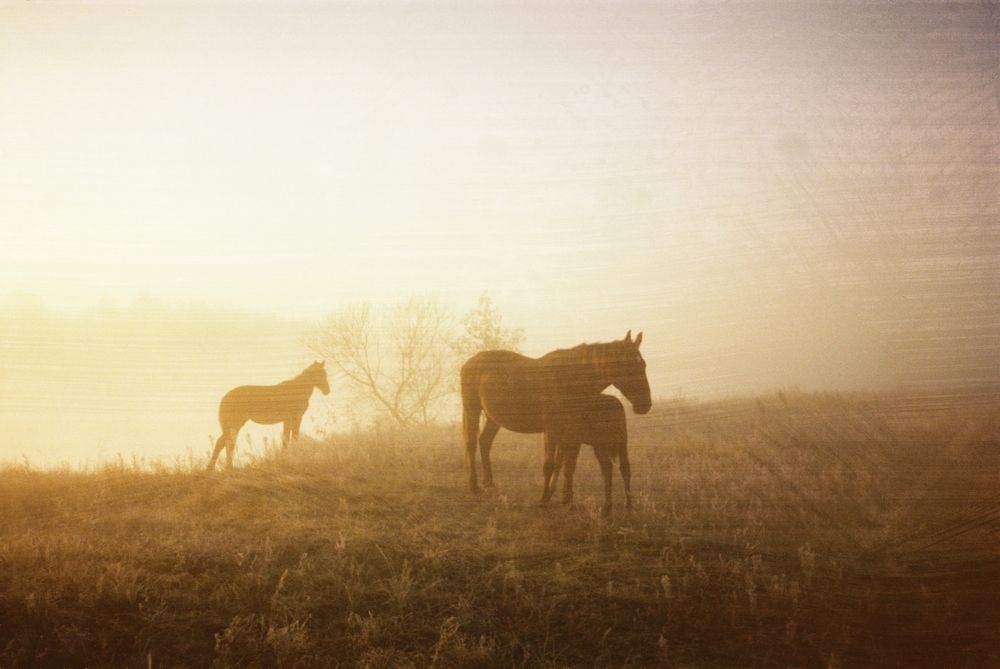 Photograph by Владимир Заборонок