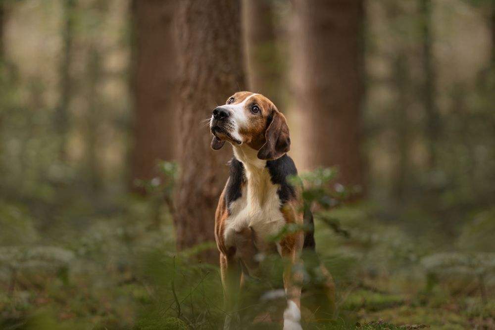 Photograph by Annemarie Visser