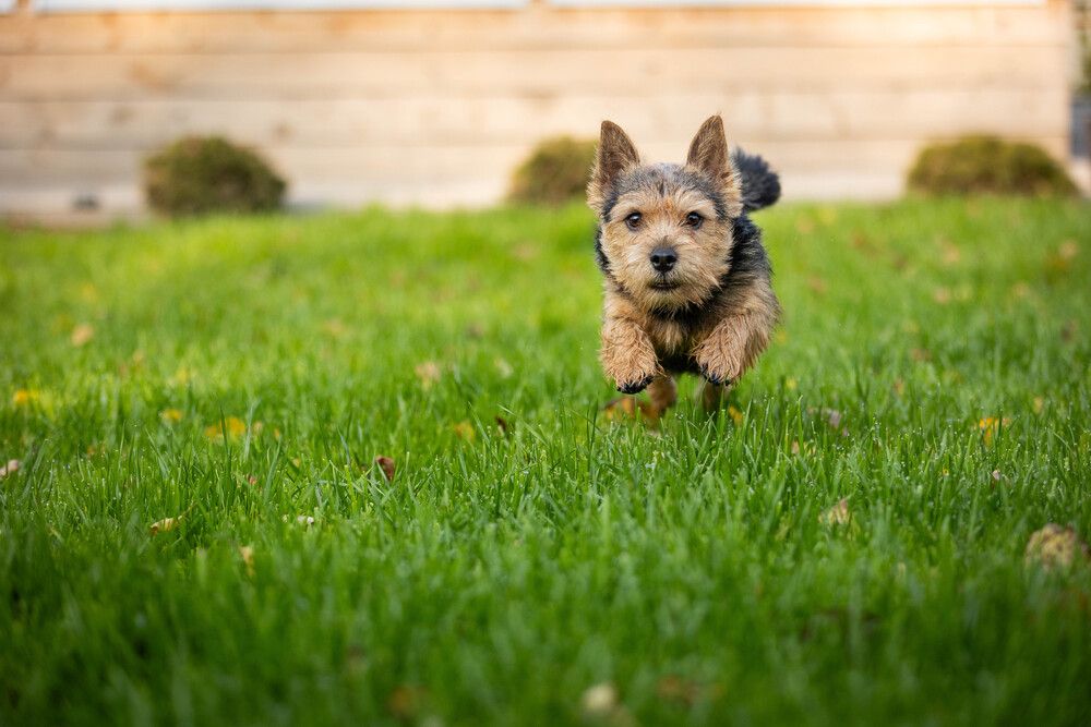 Фотография автора Анна Абрамова
