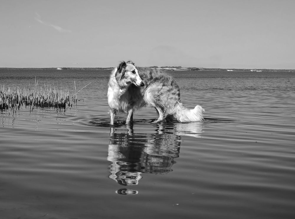 Photograph by Инна Мухина