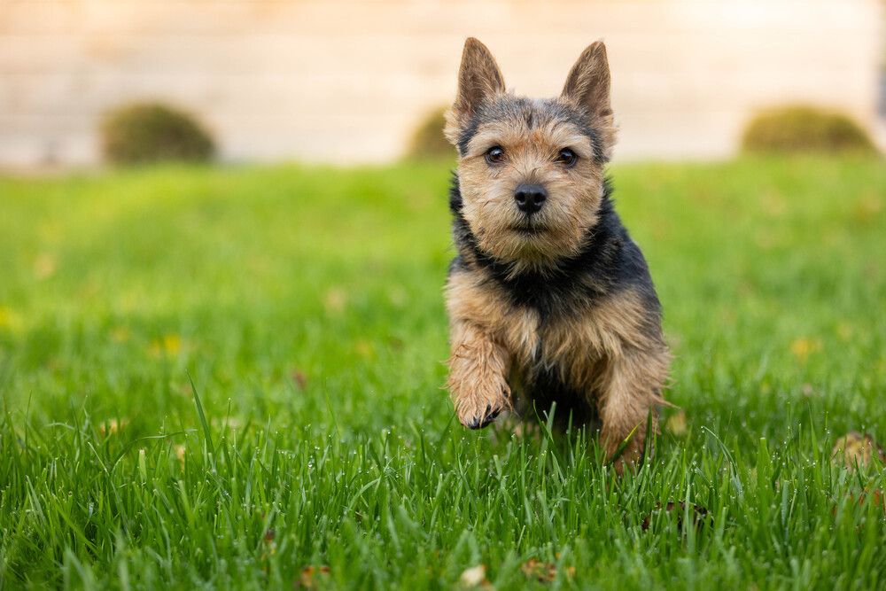 Фотография автора Анна Абрамова