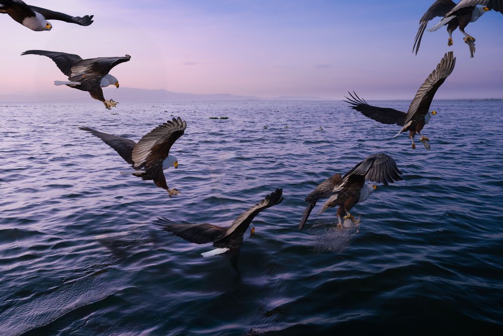 Фотография автора Bhupender Gupta