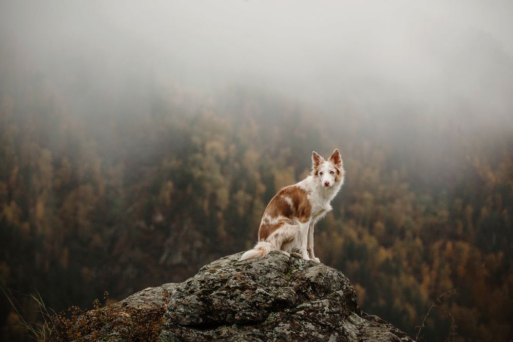 Фотография автора Kuzina Vera