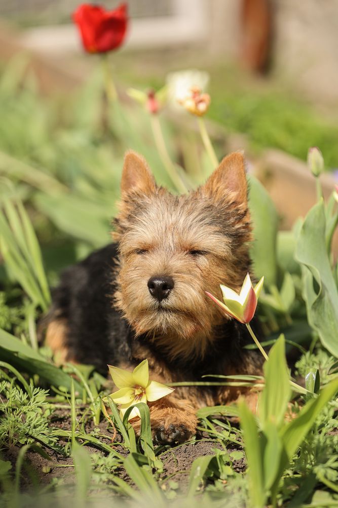 Фотография автора Анна Абрамова